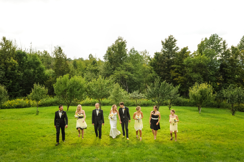 Wedding party photo on green hill
