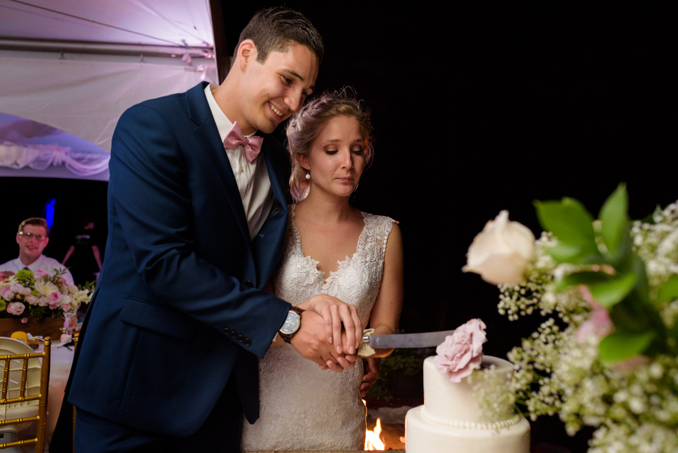 Wedding couple cutting the cake