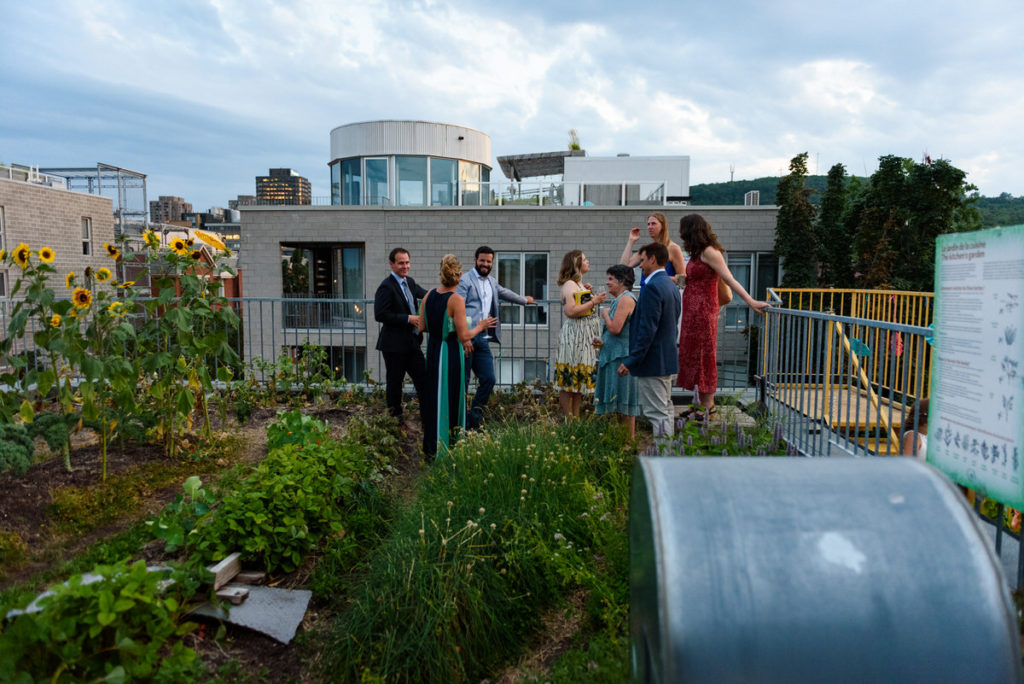 Wedding guests in urban garden during cocktail hour