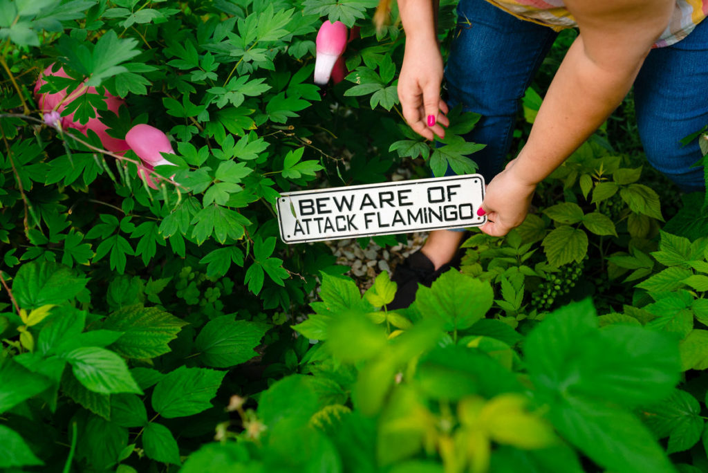 woman's hands touching small garden sign that says "Beware of attack flamingos"