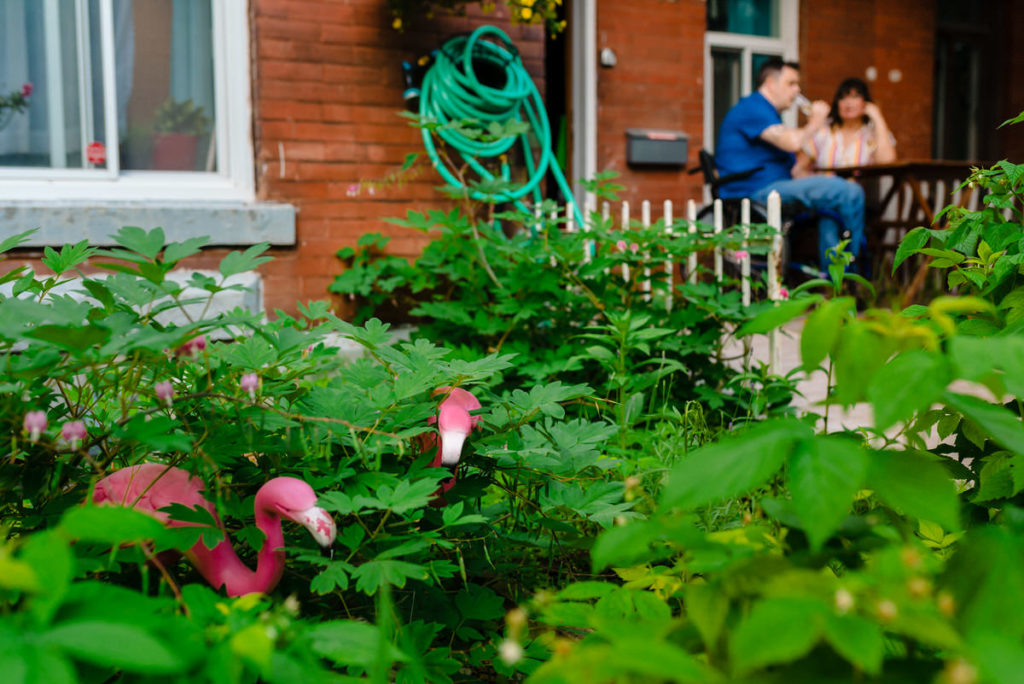 Yard flamingos in front garden with engaged couple in the background