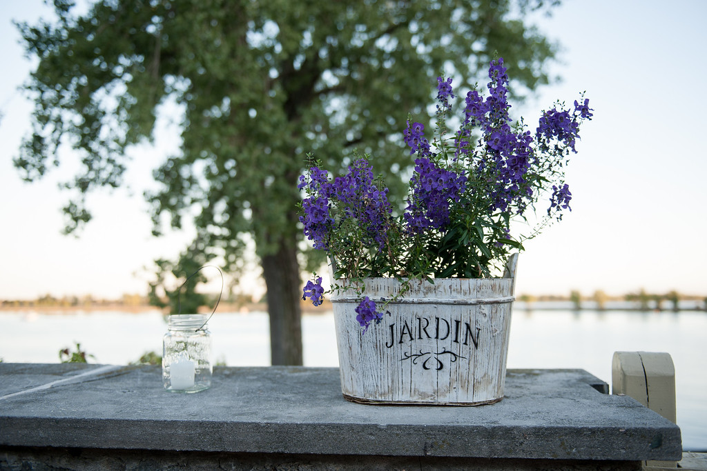 Flower in bin on terrace of Vieille Brasserie