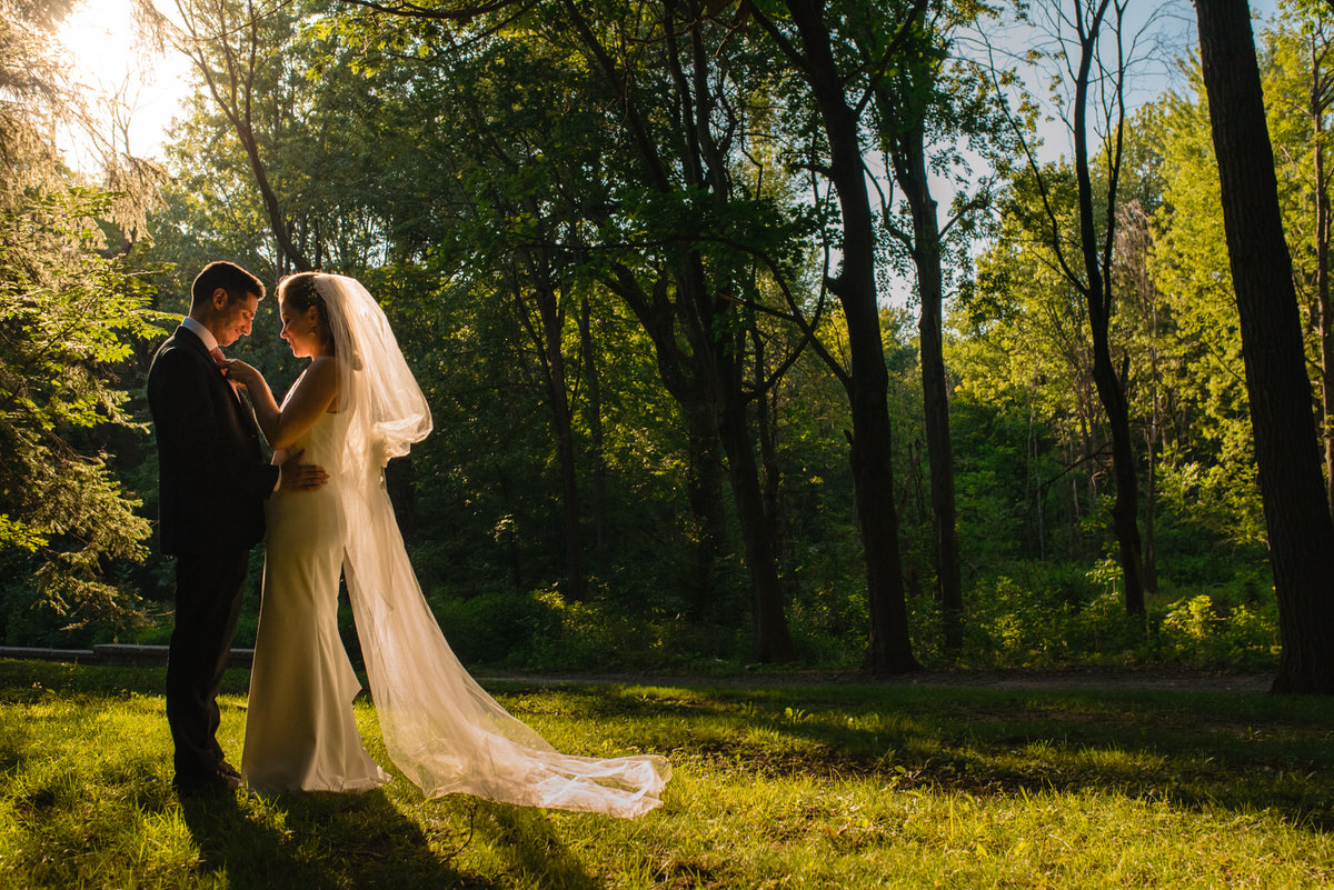 Wedding couple in the setting sun in woods