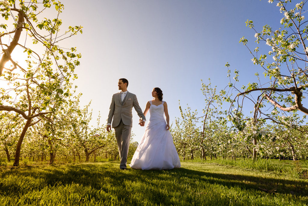 Wedding portrait in the orchard at Coteau Rougemont